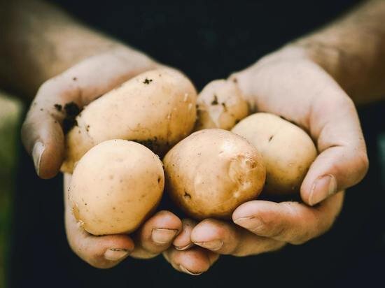     Фото unsplash.com