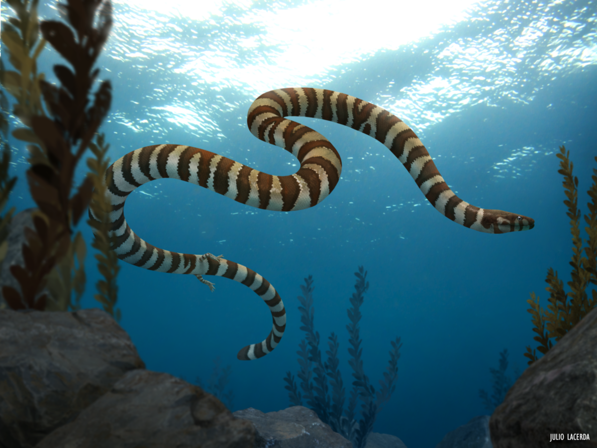 Когда тренер кричит «греби ногами», а ты не можешь.