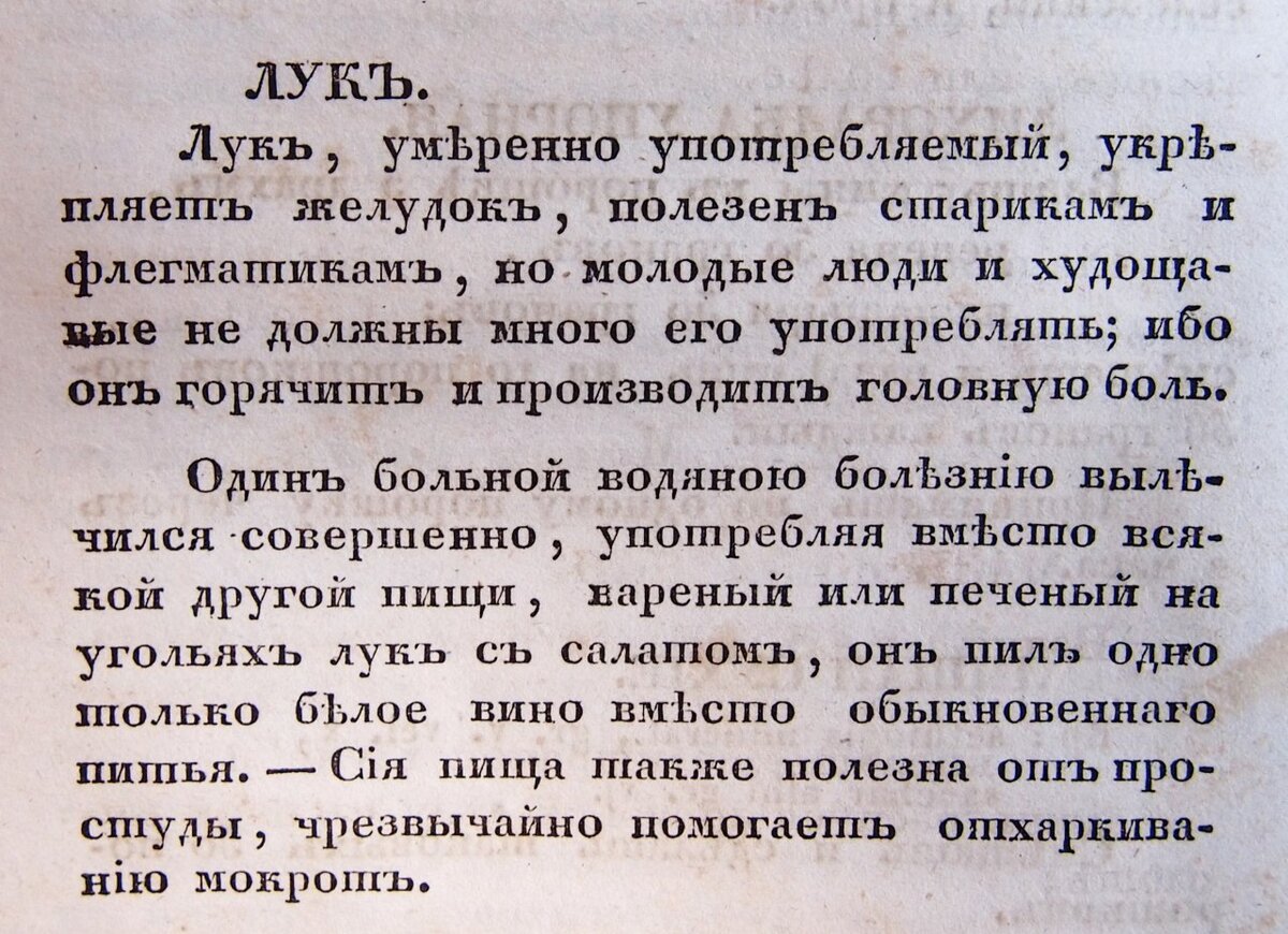 Про амурные яблоки и почему раньше считали чай, лук и персики вредными.  Огородники оценят | Любопытный Паганель | Дзен