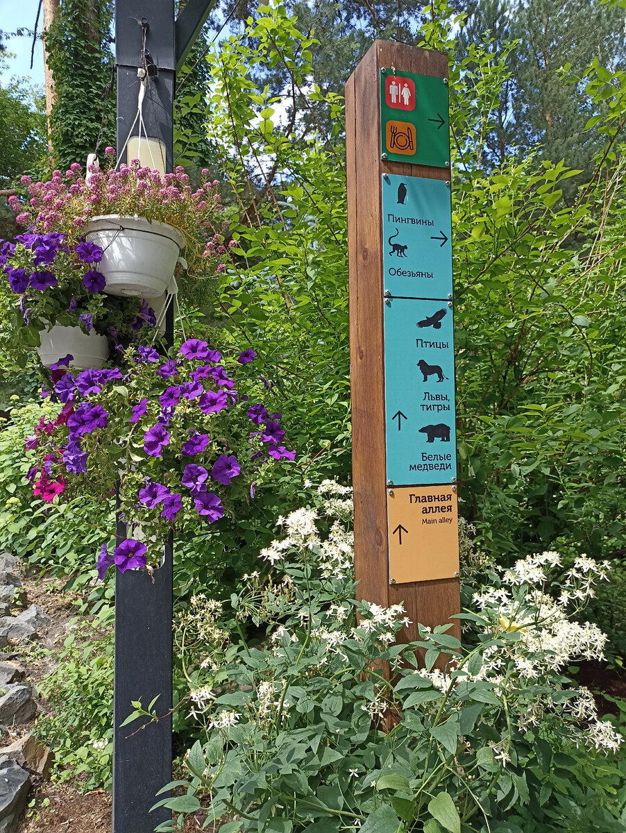 Столбик со стрелками красиво стоит среди цветов