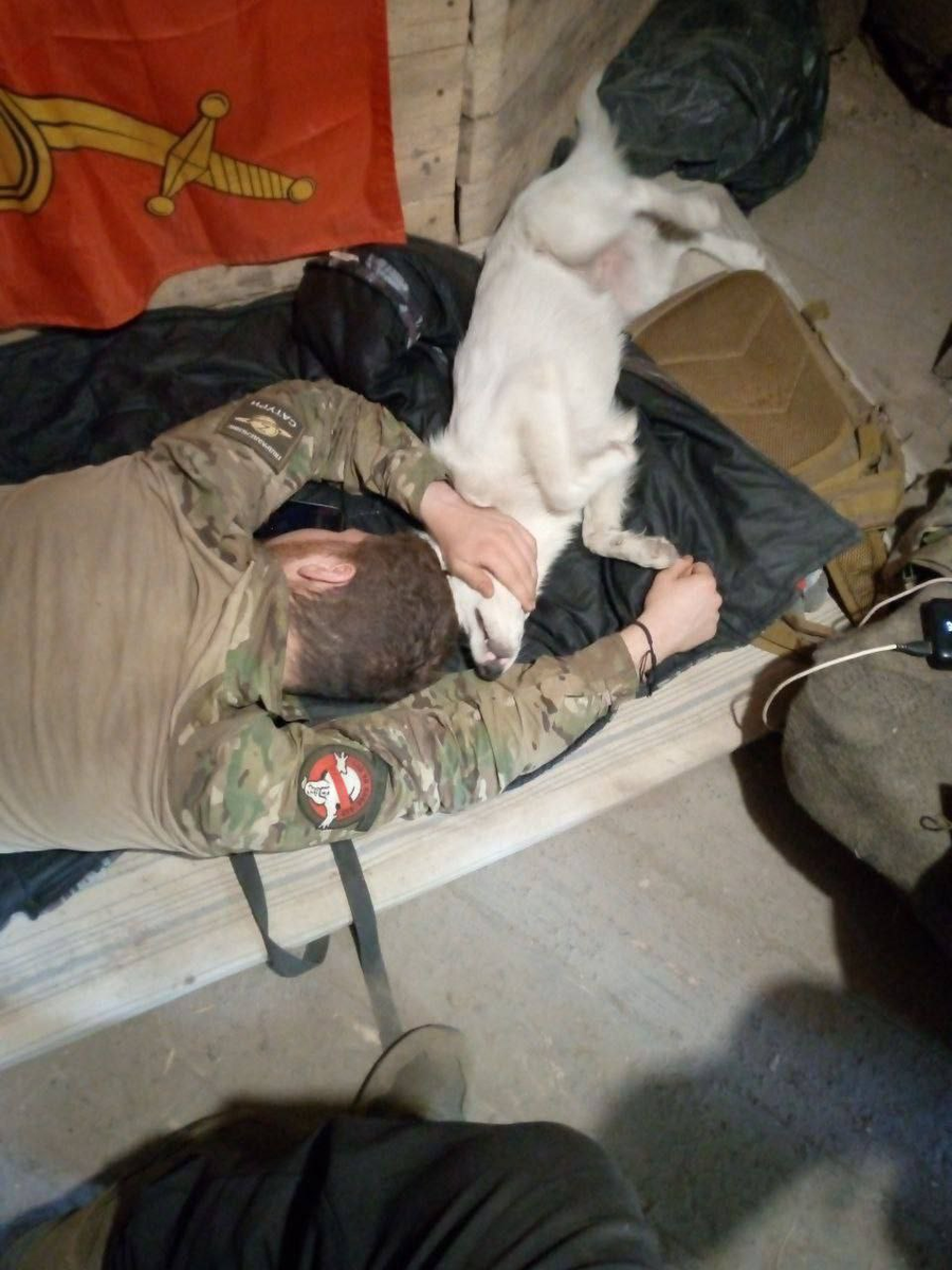 Оригинал фото: https://t.me/batalyon15/2604