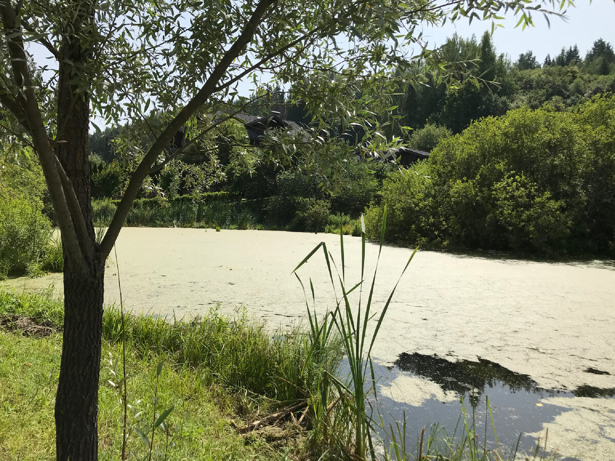 Какие цвета!