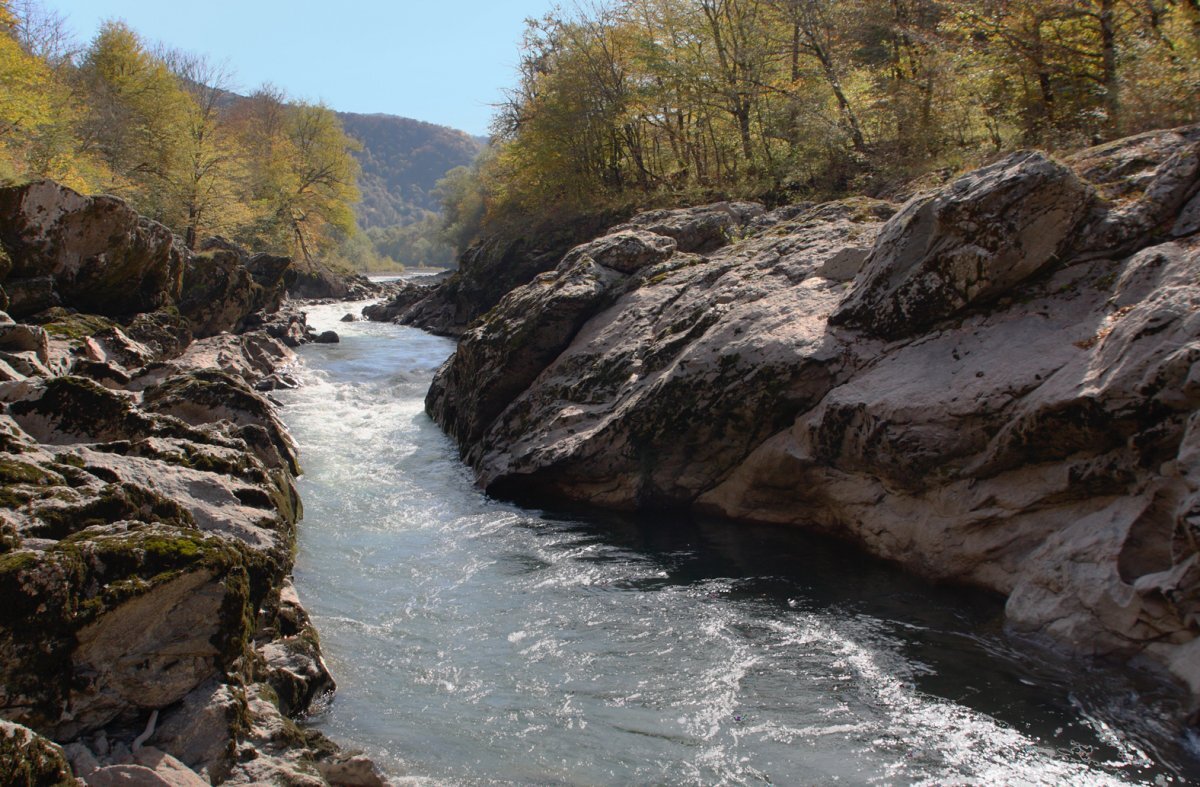    Пари на смерть.