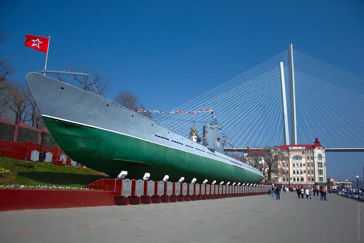 С56