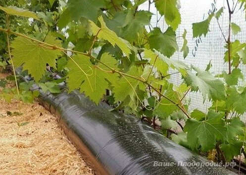 Термоаккумулирующий рукав.