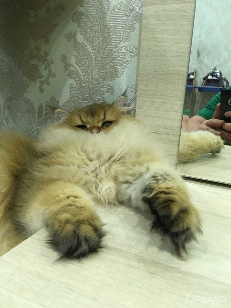 Источник: pinterest.com