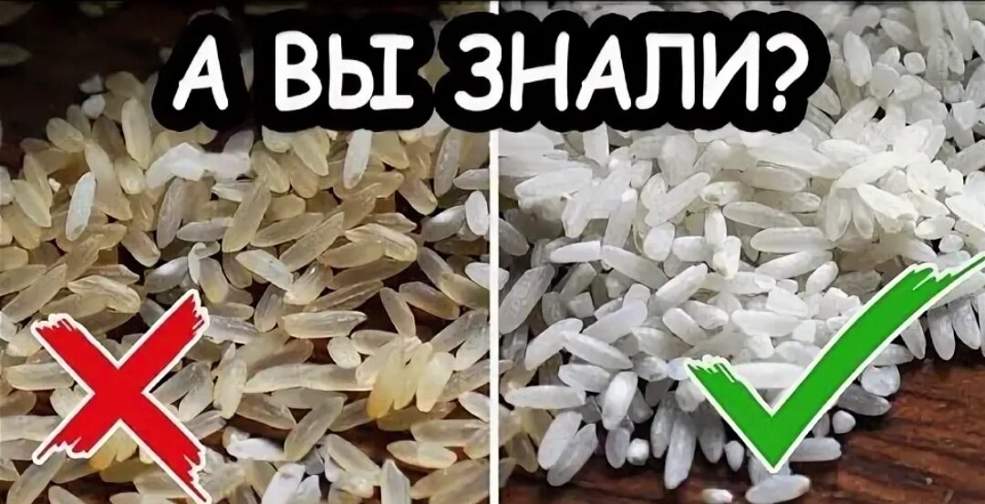 Как выглядит настоящий рис