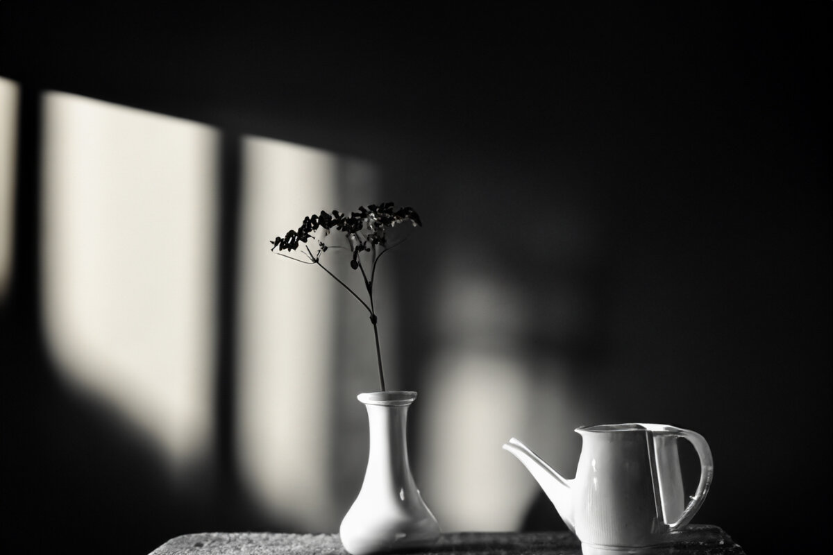 Использование светотеней в черно-белой фотографии позволяет создать глубину и объемность объектов