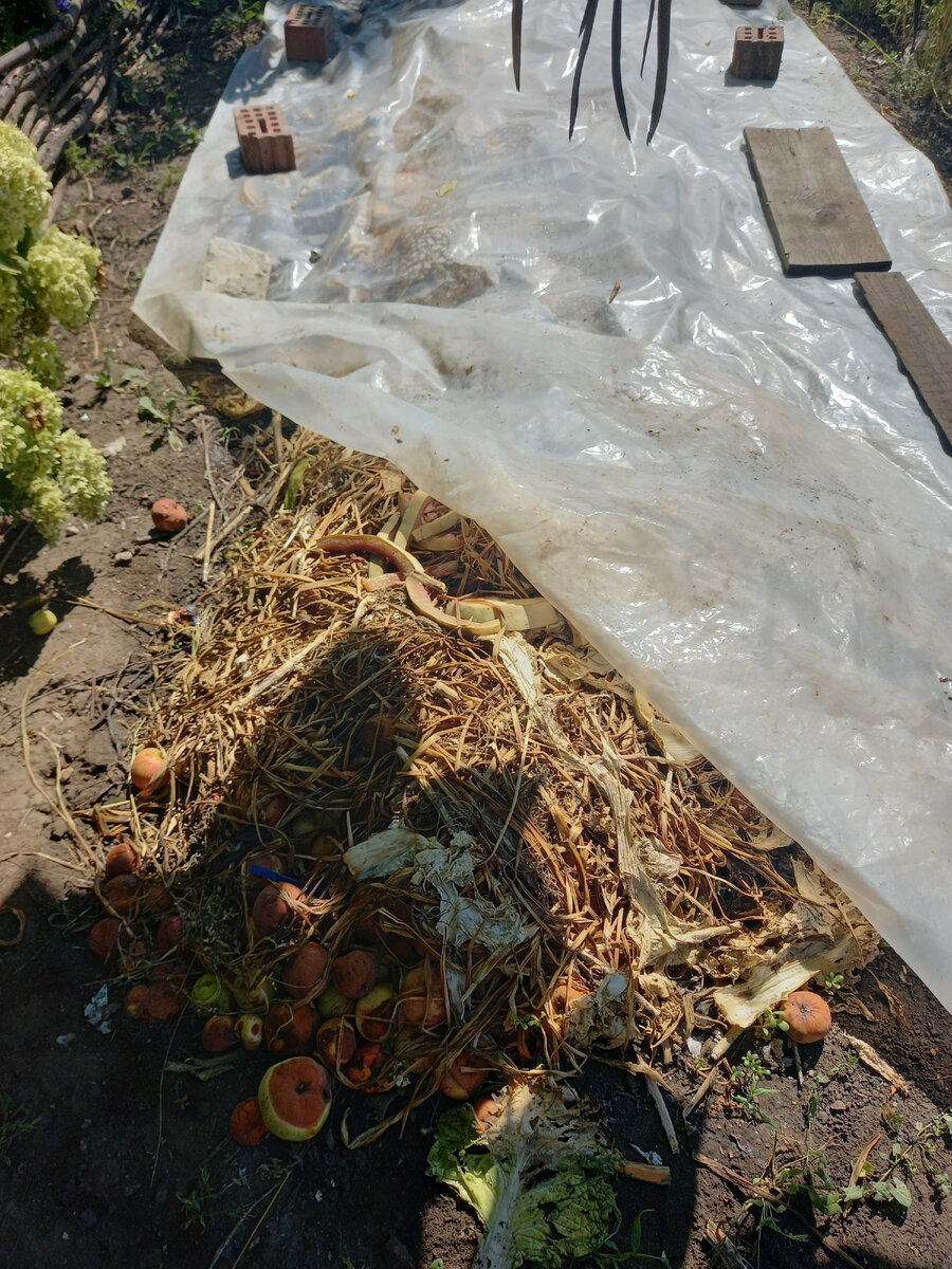 После нескольких дней под пленкой компост уже слежался, уменьшился в объеме, а температура его под пленкой такая, что рука не терпит. 