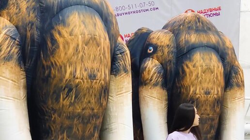 Надувные Костюмы Белых Мишек от производителя | Как сделать сюрприз ...