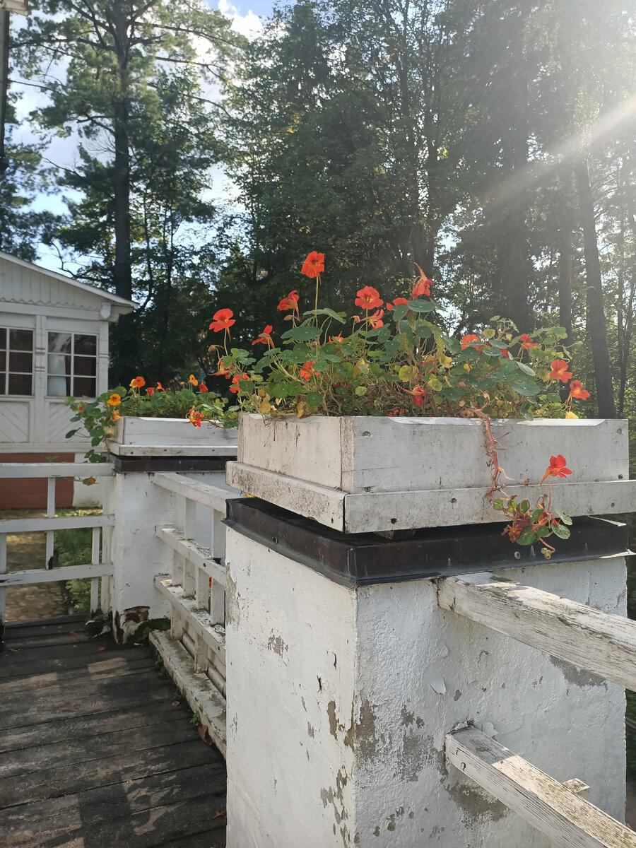 Поленово. Фото из личного архива. 