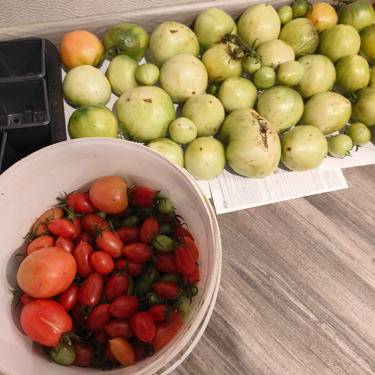 У меня урожай удался. 