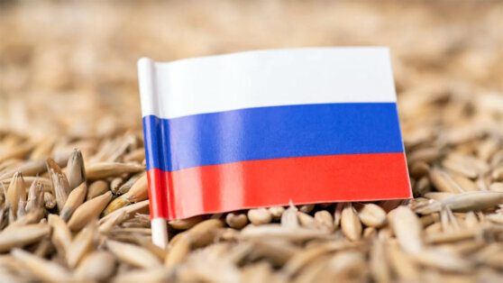    Египетские власти опровергли сообщения об отказе от импорта российской пшеницы Егор Ильяшов