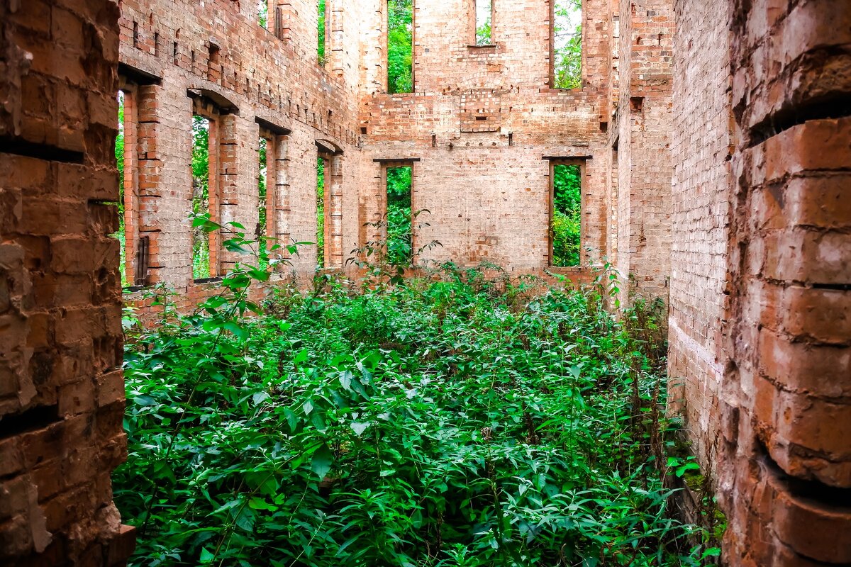 Забута. Заброшенные руины. Derelict meaning