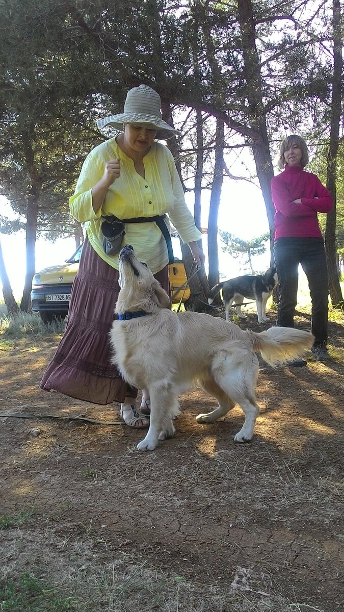 - А чего Террка хихикает? 
- Пусть хихикает. Она тебя специально провоцирует, а ты не поддавайся. Сидеть!