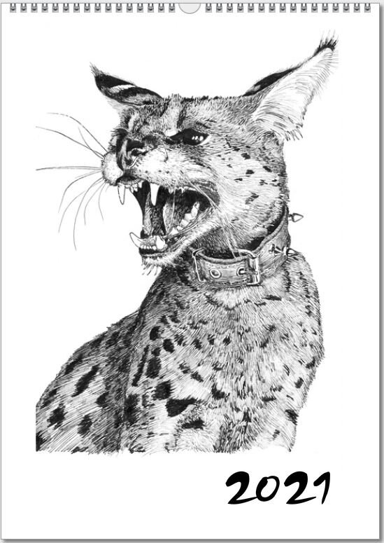 Сервал Лексус на обложке календаря