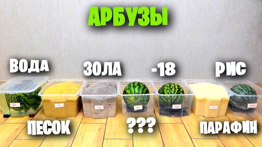 10 способов хранить АРБУЗ к НОВОМУ ГОДУ 🍉🎄