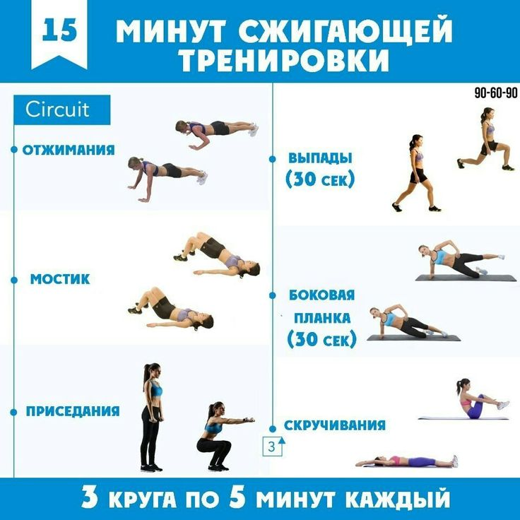 Короткая круговая тренировка без инвентаря