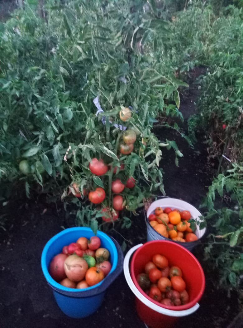 Фото автора канала Моя жизнь 