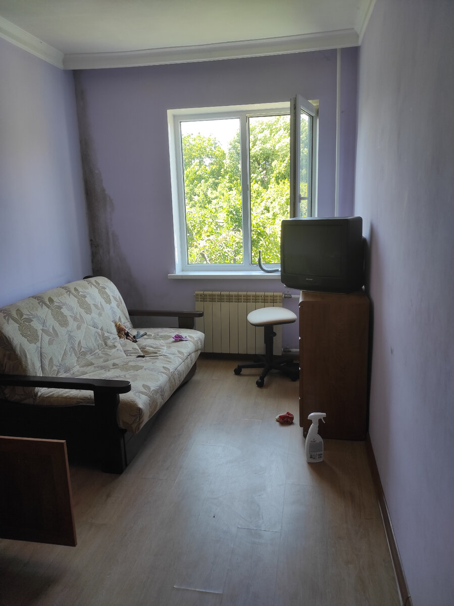 Процесс отмывания стен от плесени. 