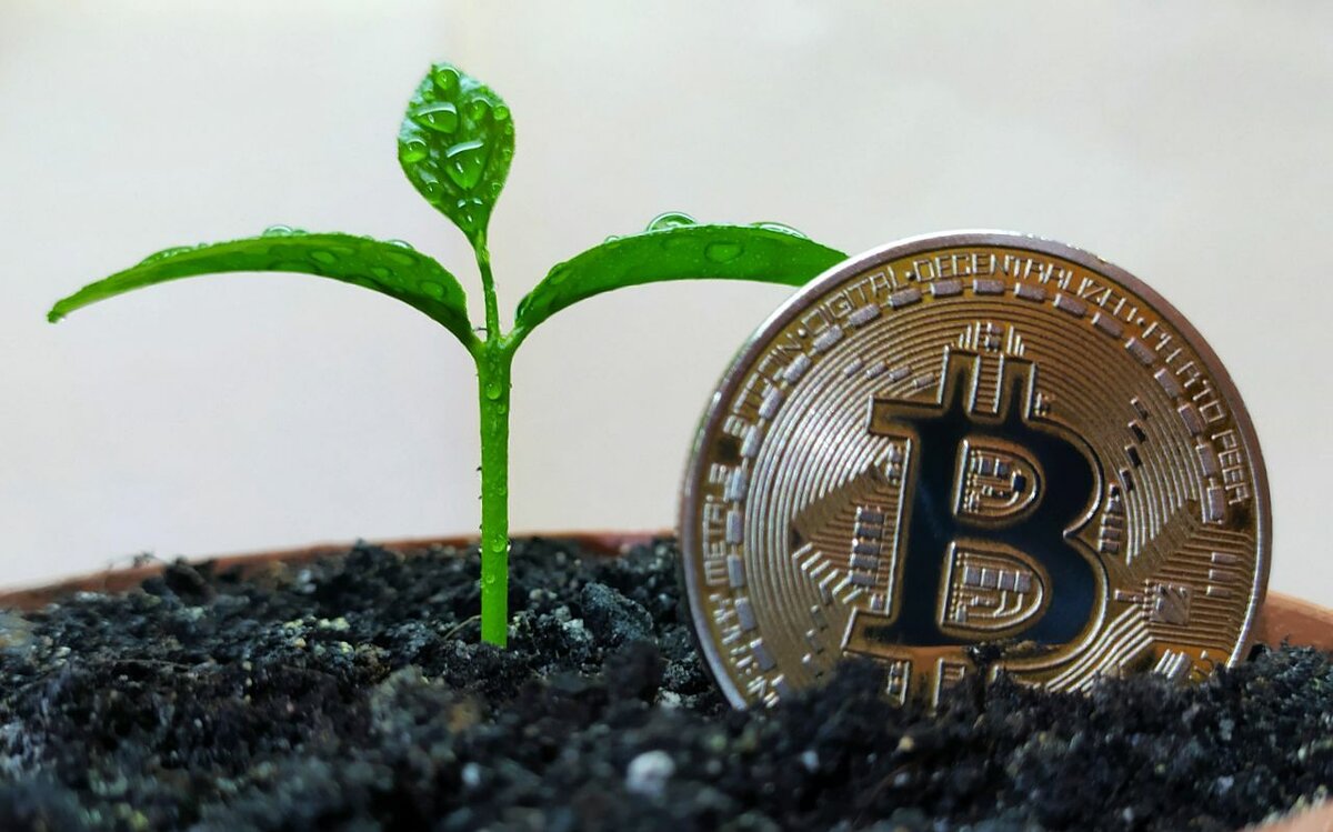 Биткоин проект цру