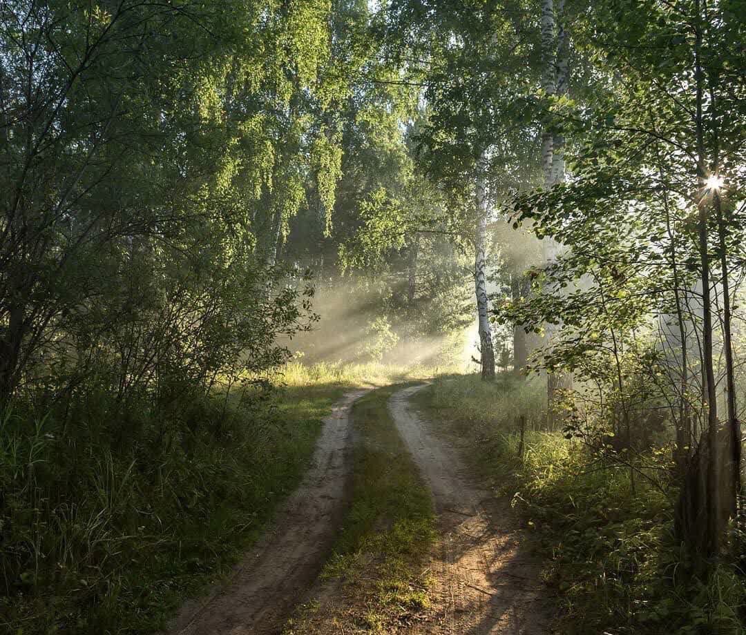 Новая версия Жизни