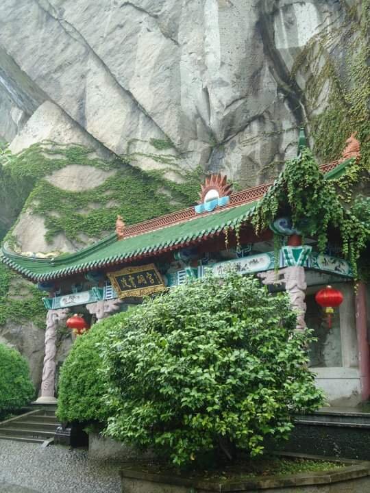 Цигун Онлайн и в центре Москвы! Эмоции и здоровье!