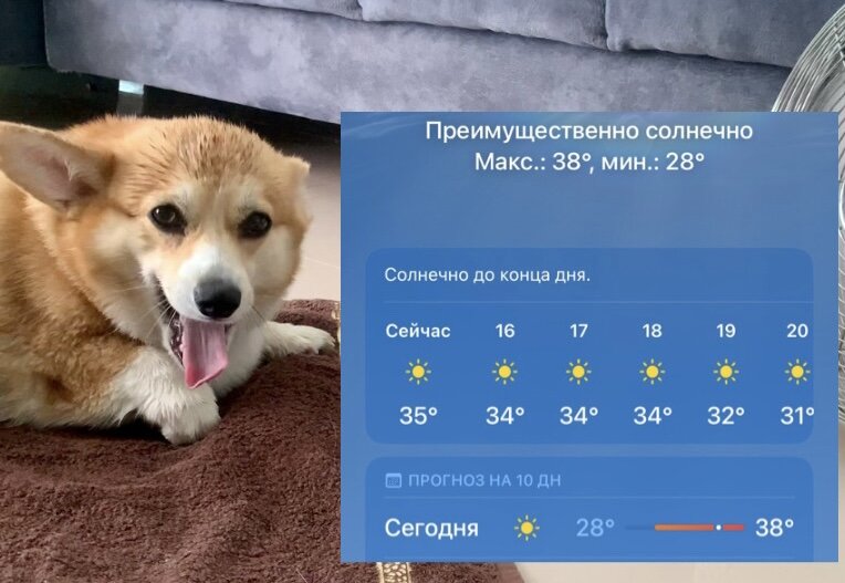 Зачем вы меня сюда привезли?