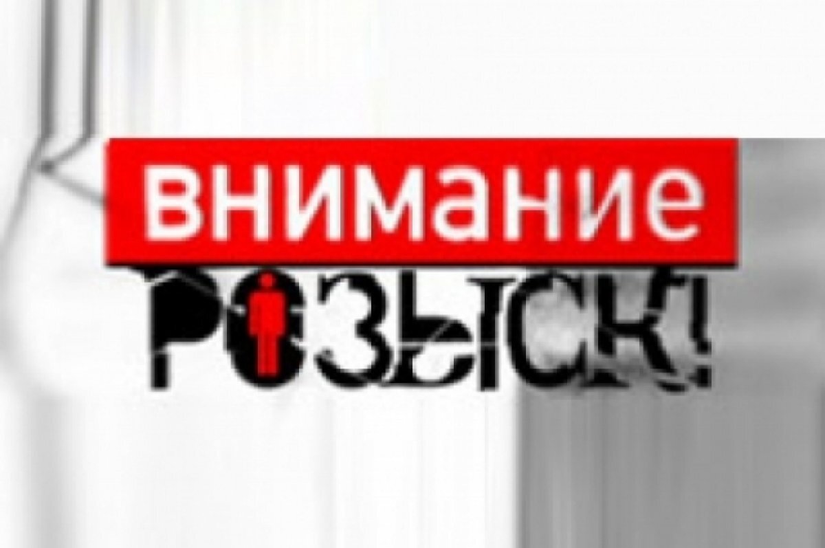    Полиция ищет очевидцев смертельного ДТП в Новосокольническом районе