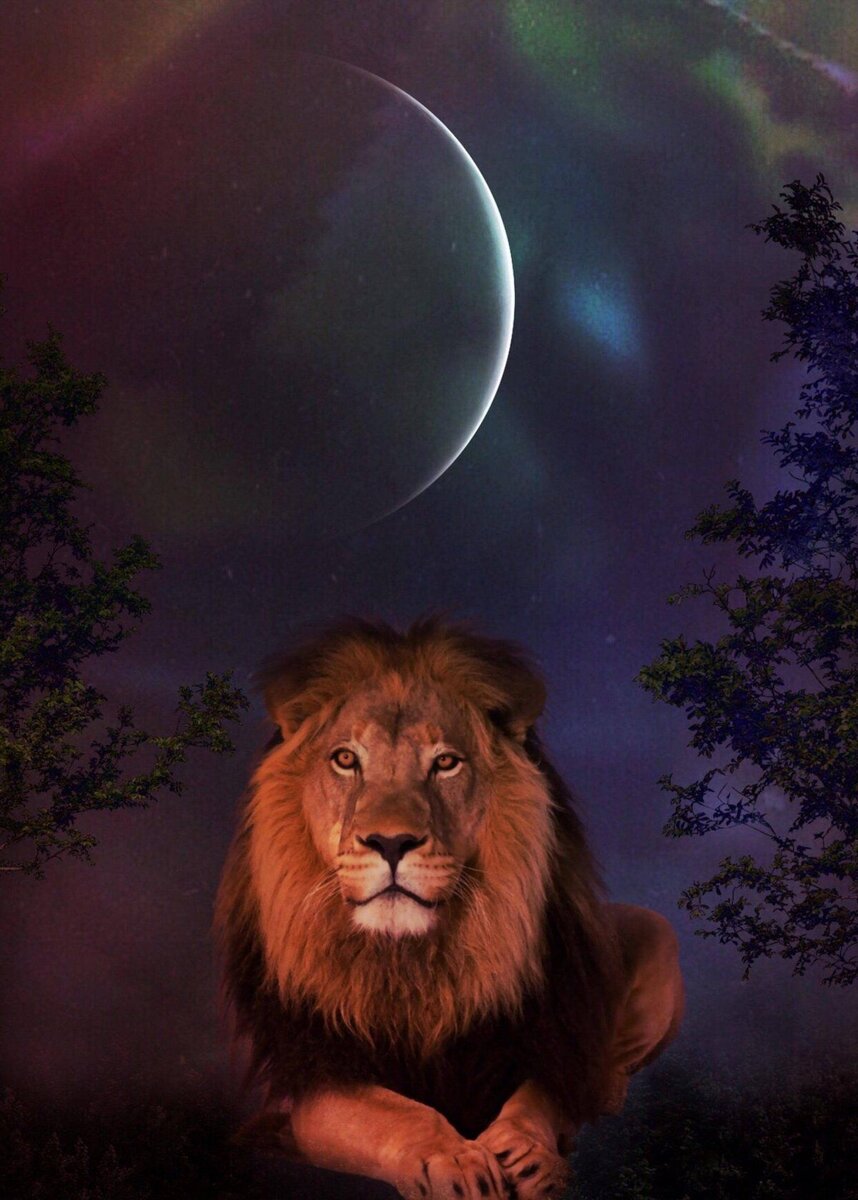 Новолуние во Льве