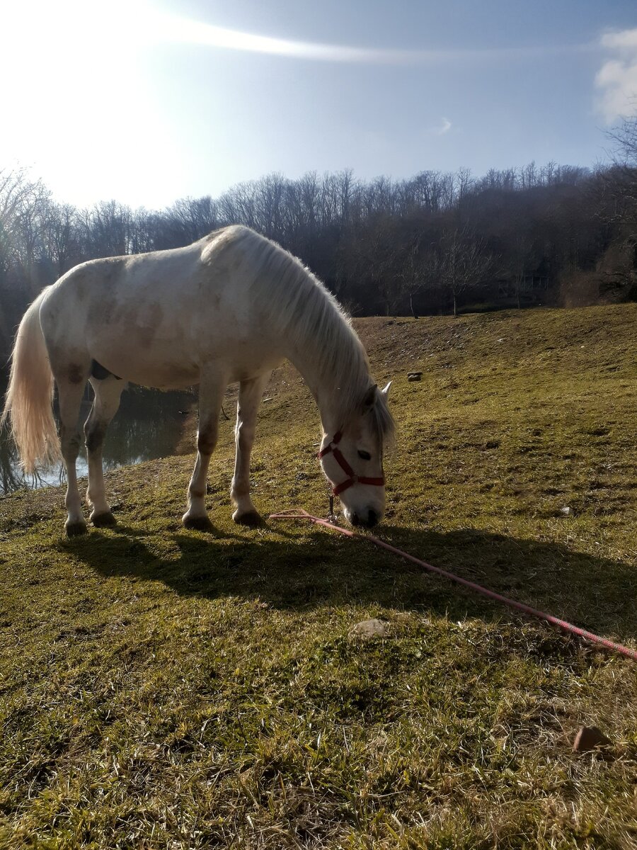 Округ в Катково Эко парке