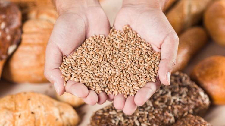    ru.freepik.com/freepik