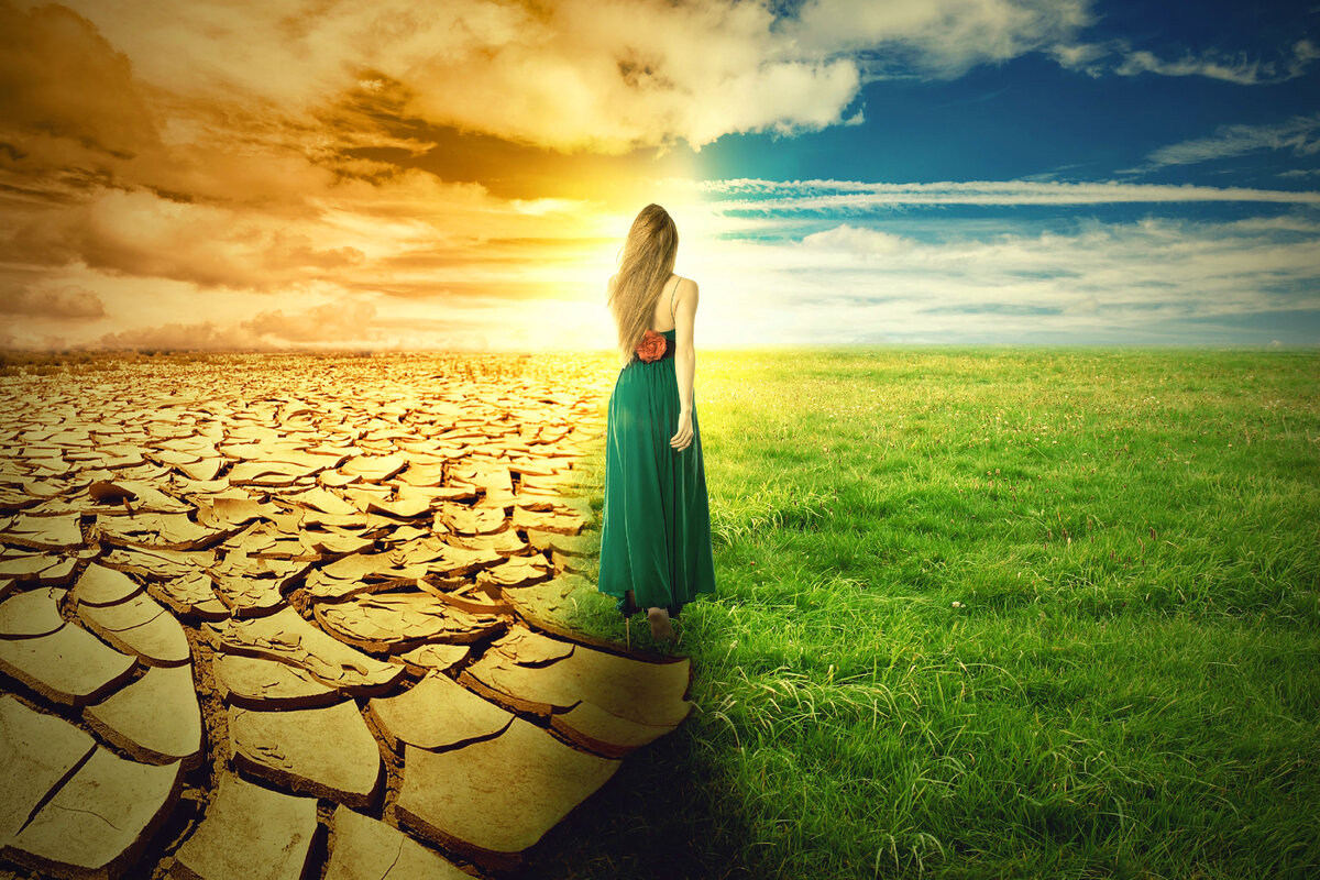 Картинка из интернета, находится в свободном доступе