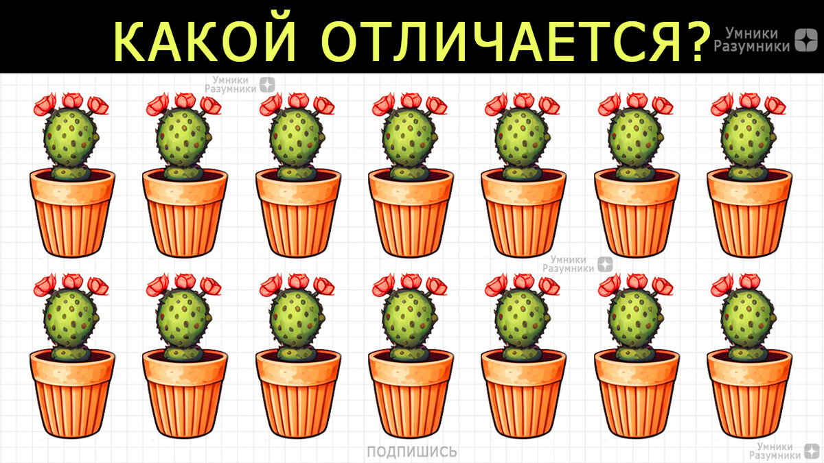 Найди отличие