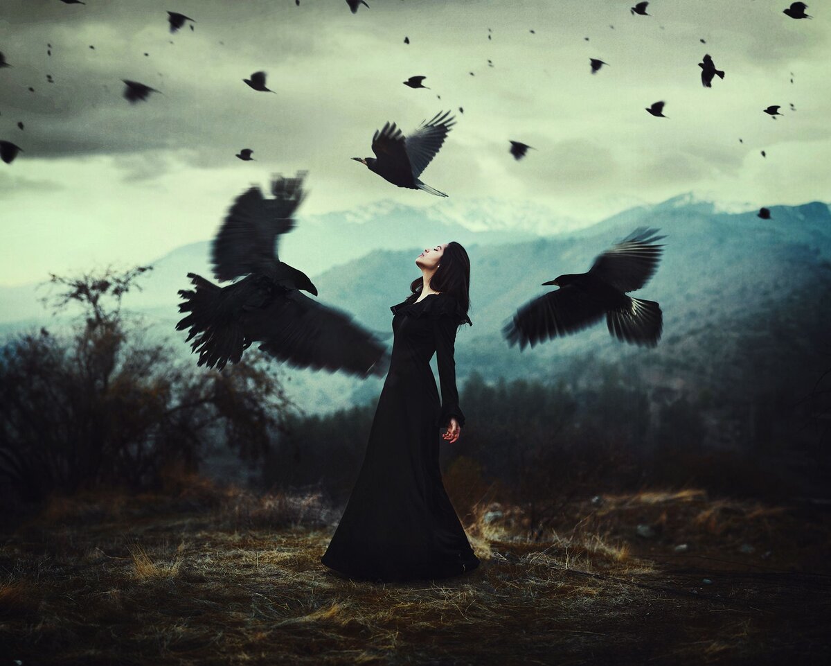 яндекс картинки