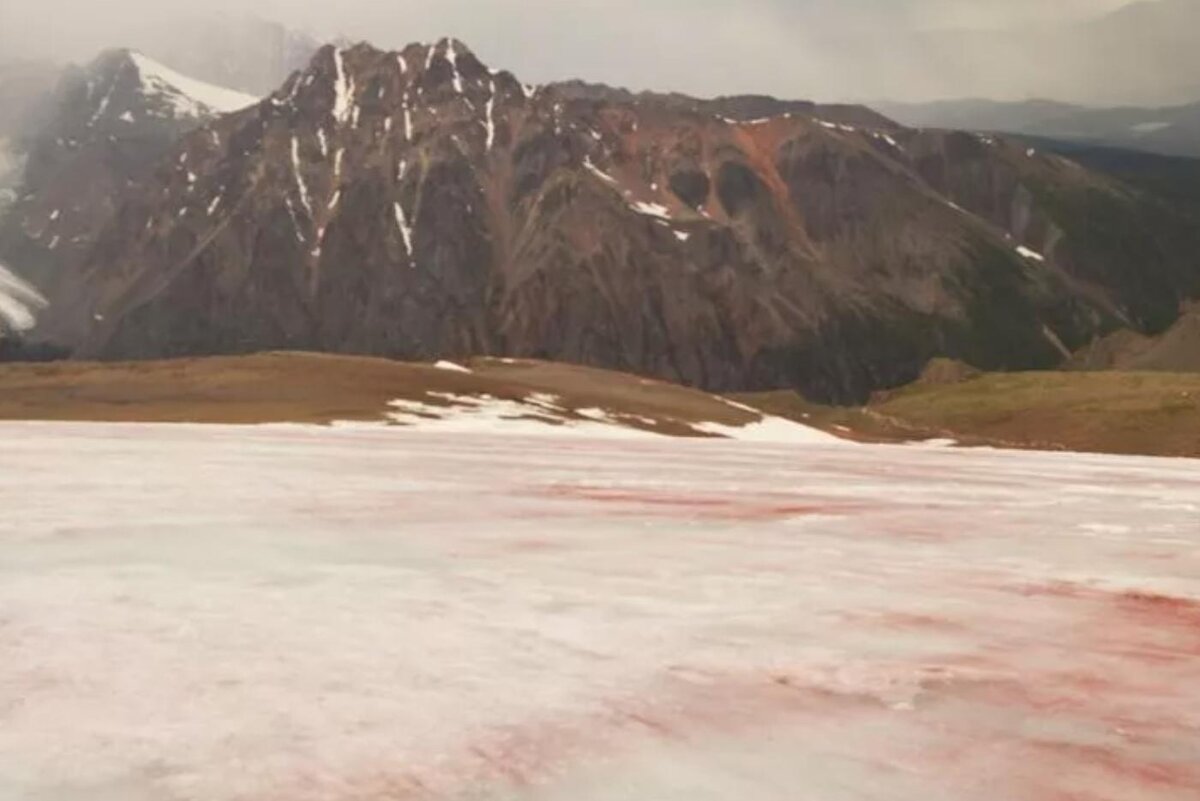 Фото: пресс-служба Томского государственного университета