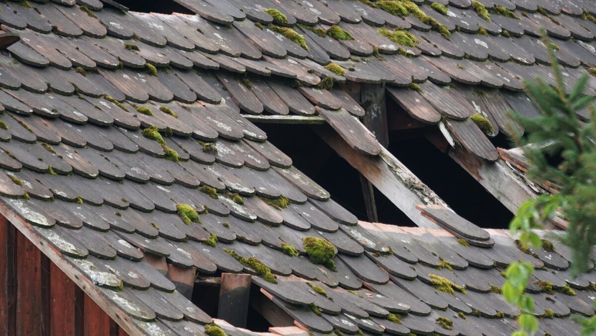     В Ростове на улице Чебанова рухнувшая под потоками дождя крыша едва не раздавила трехлетнего ребенка, об этом сообщили в местном Telegram-канале.