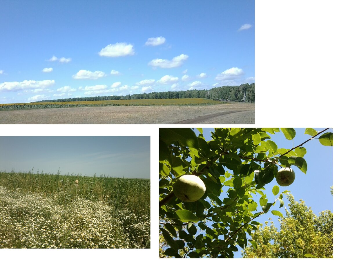 Фото Е. Фошиной