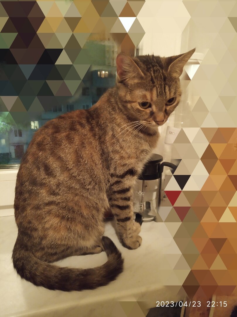 Мусеньке очень грустно...