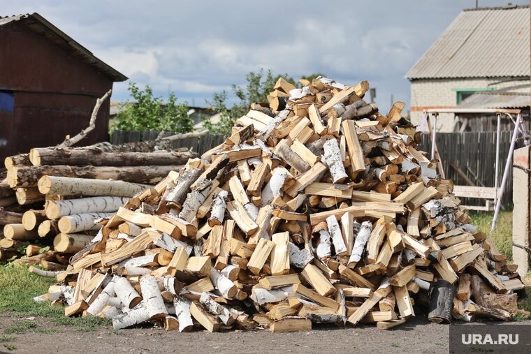    Многодетный курганец воровал дрова, чтобы семья не замерзла зимой