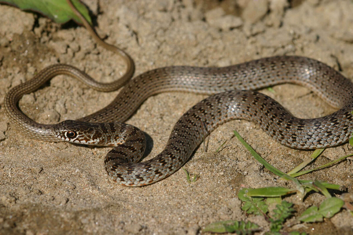 фото с Яндекс