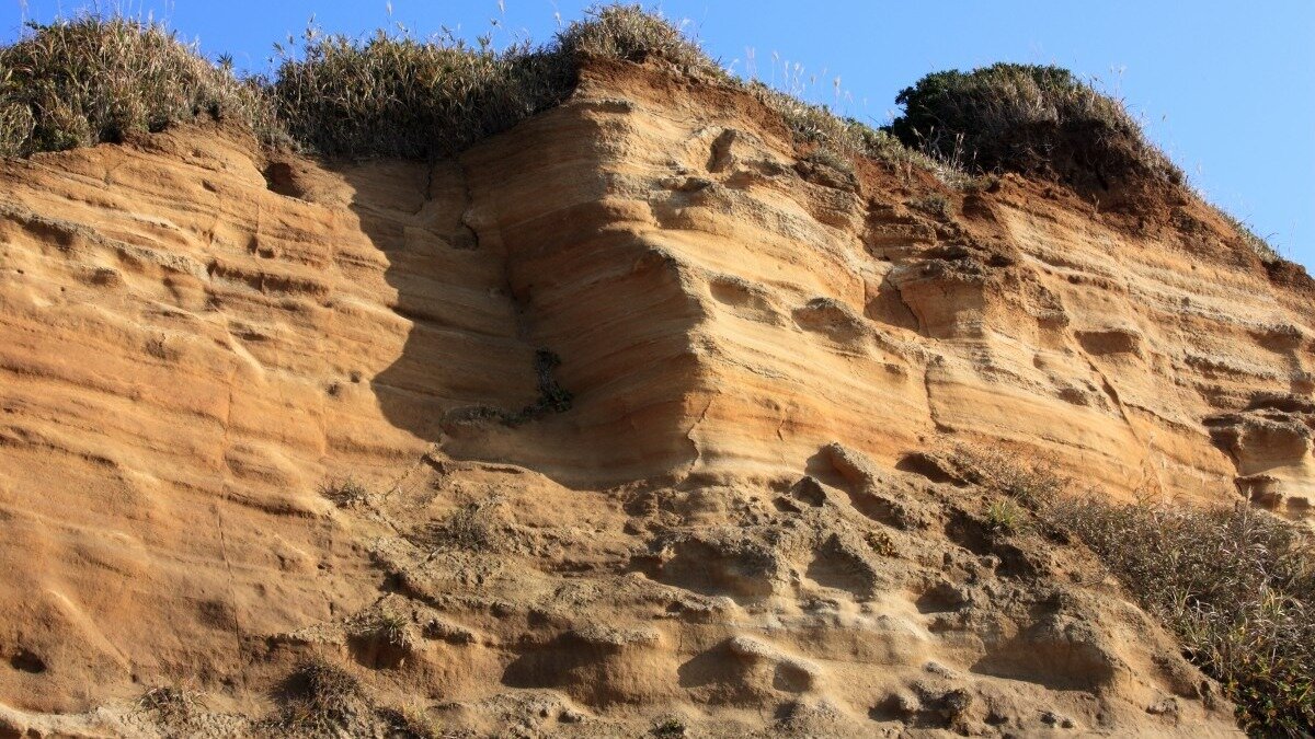     В Ростовской области мужчина сорвался с обрыва, когда пытался сделать экстремальное фото, рассказали в соцсетях очевидцы.