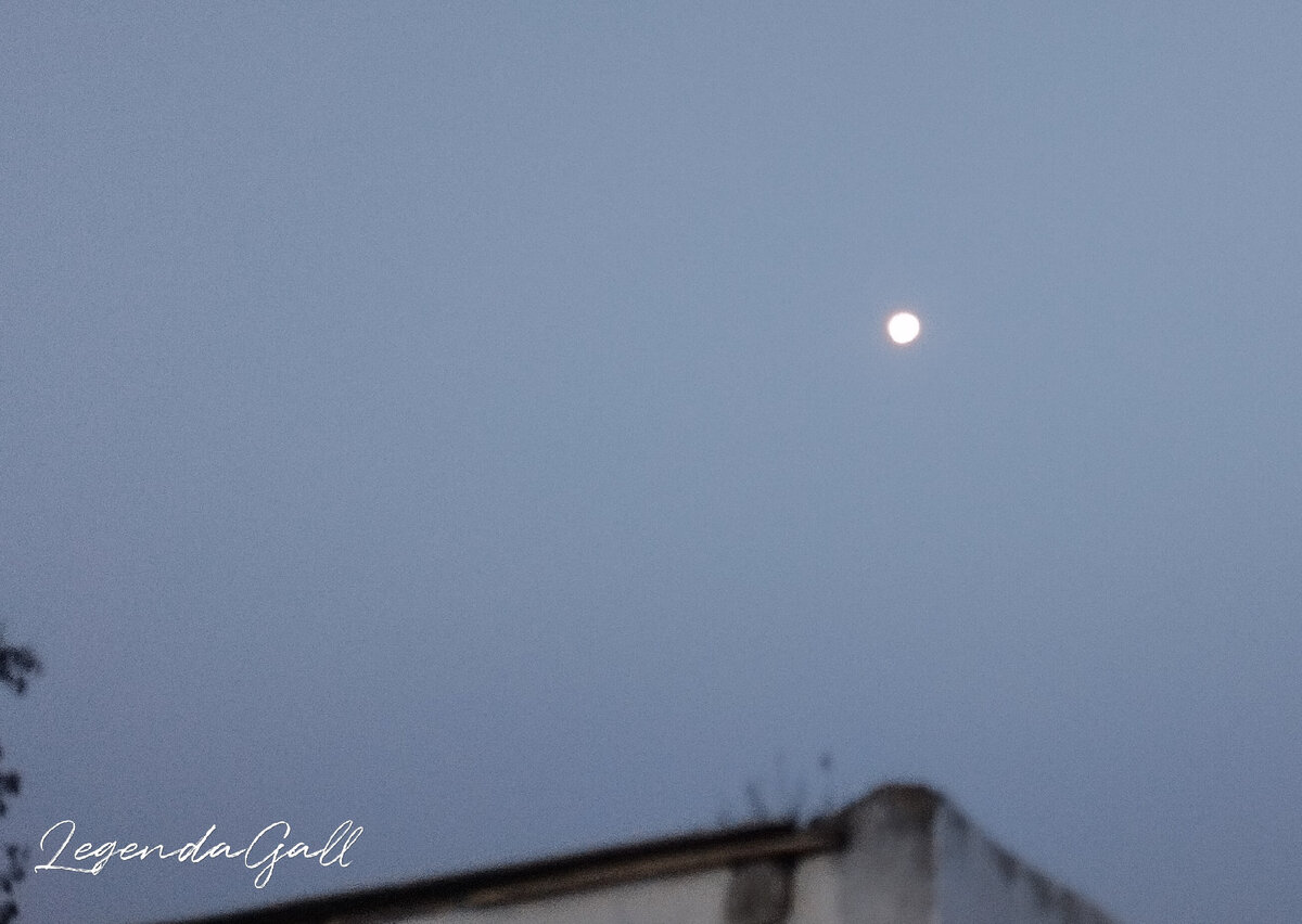 Кто-то полнолуние по ночам наблюдает, а я по утрам