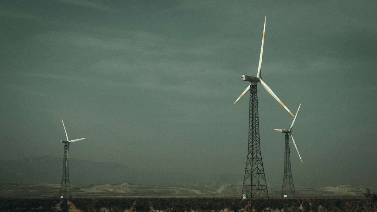     Сильные дожди, град, штормовой ветер и заморозки ожидаются в ряде регионов Сибирского федерального округа уже сегодня.