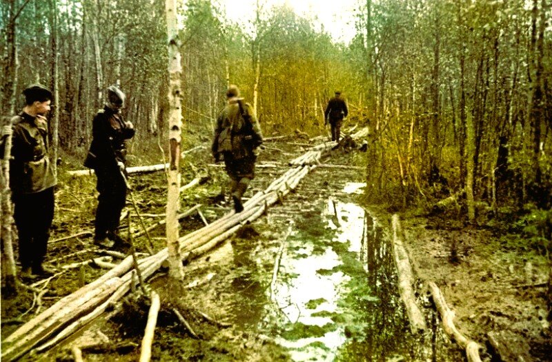 Болота на Волховском фронте.