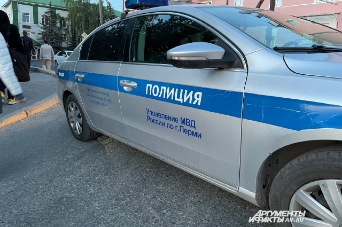    Очевидцы вызвали на место происшествия полицию.