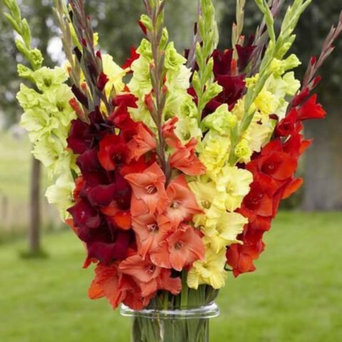  Букет на одиннадцатилетнюю годовщину.