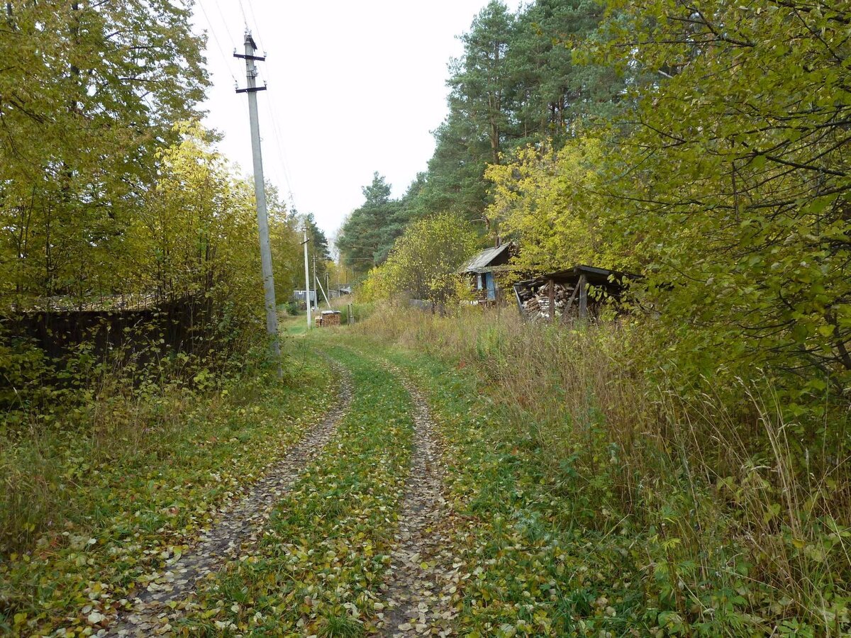 Жизнь в деревне фото