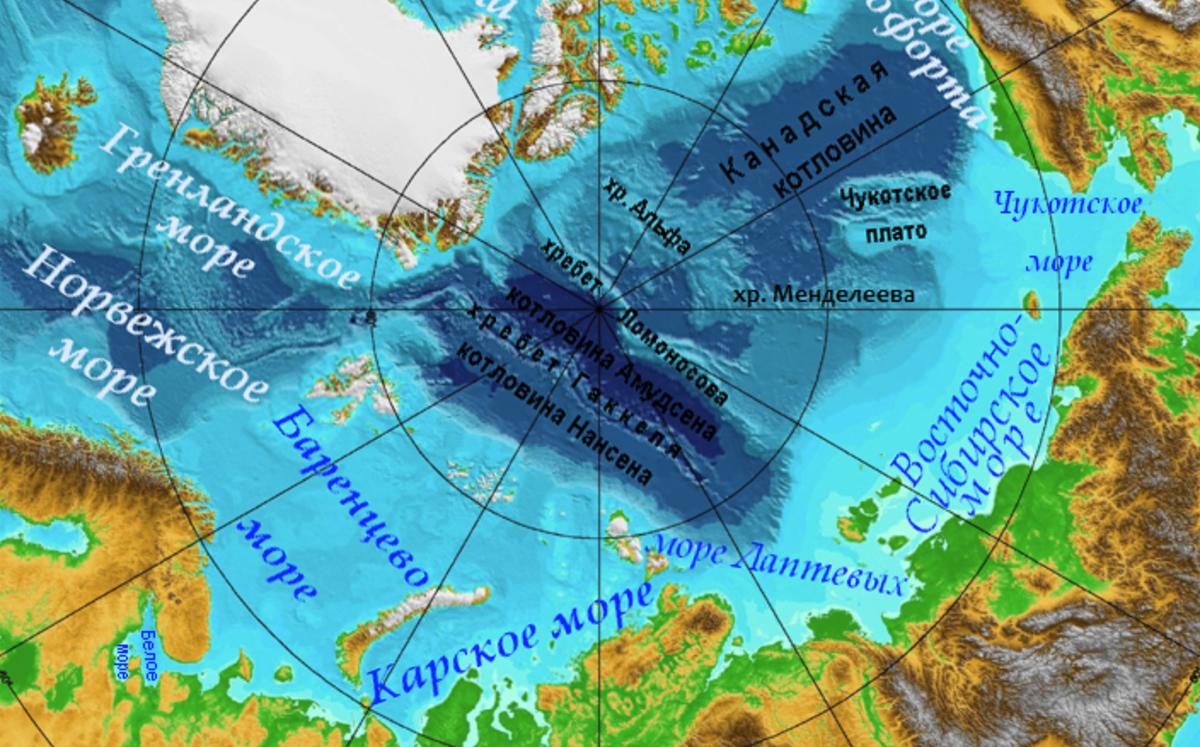 Моря северного ледовитого океанов. Хребты Гаккеля Ломоносова и Менделеева. Котловина Амундсена на карте. Котловины Северного Ледовитого океана на карте. Рельеф дна морей Российской Арктики.