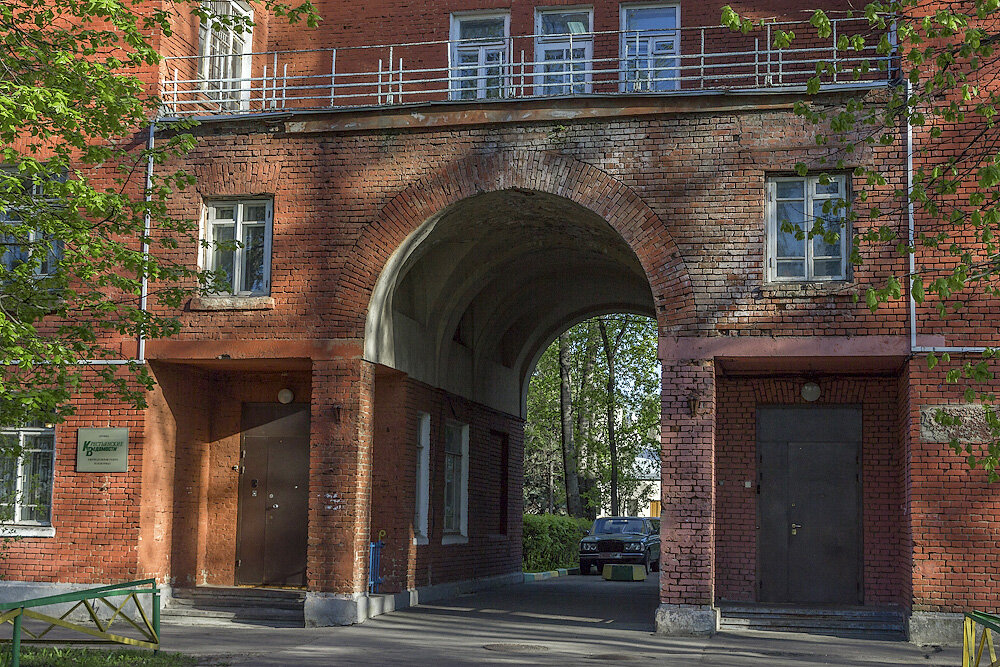 парк тимирязевской академии. малыха тимирязевка. сад тимирязевской академии. москва тимирязевская. тимирязевская академия ргау-мсха москва зима.